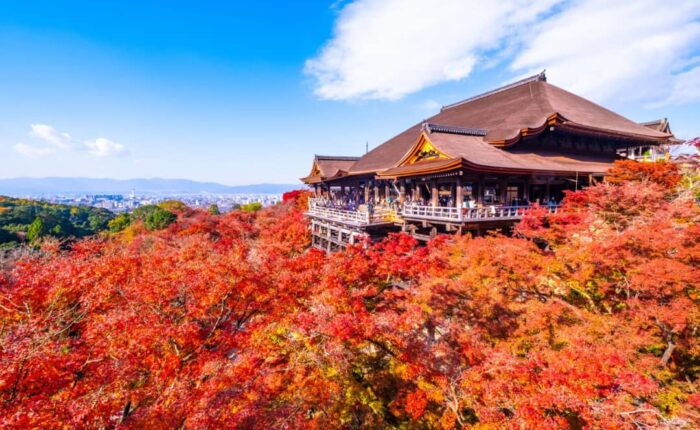 بهترین زمان سفر به ژاپن - نگین پرواز پارس