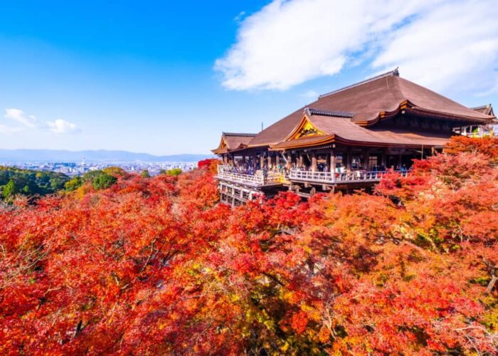 بهترین زمان سفر به ژاپن - نگین پرواز پارس