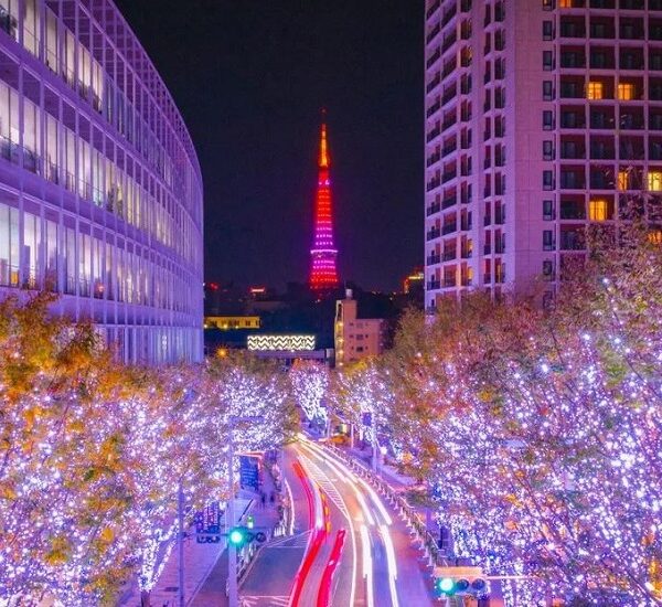 سفر کریسمس - آژانس نگین پرواز پارس