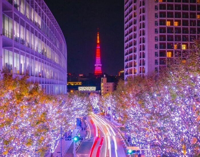 سفر کریسمس - آژانس نگین پرواز پارس