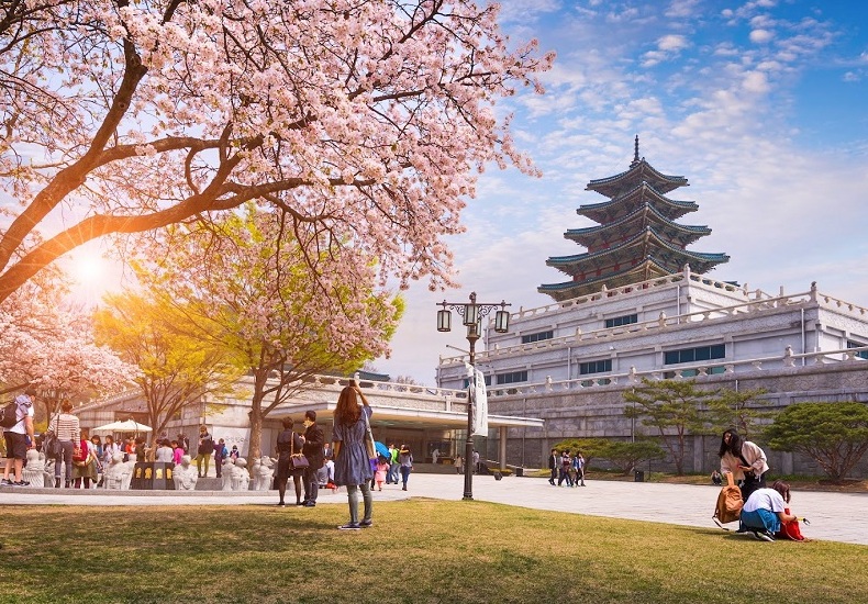 سفر به کره جنوبی - آژانس نگین پرواز پارس